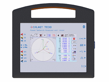 TE30 - Portable Three-Phase Working Standard and Power Quality Analyzer