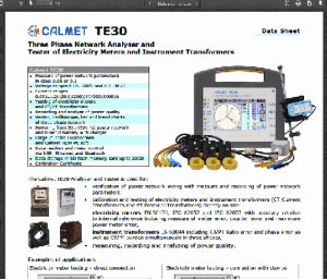 TE30 Three Phase Working Standard data sheet
